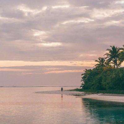 KU体育BET9注册截图